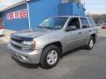 Light Pewter Metallic - TrailBlazer LT 4x4 Photo No. 1