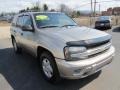 Light Pewter Metallic - TrailBlazer LT 4x4 Photo No. 5