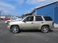 Sandstone Metallic - TrailBlazer LS 4x4 Photo No. 2