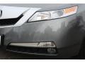 2009 Polished Metal Metallic Acura TL 3.5  photo #30