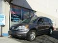 2010 Urban Titanium Metallic Honda CR-V EX AWD  photo #1