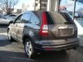 2010 Urban Titanium Metallic Honda CR-V EX AWD  photo #4