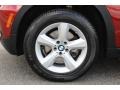 2009 BMW X5 xDrive30i Wheel and Tire Photo