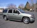 2004 Silver Green Metallic Chevrolet TrailBlazer EXT LS 4x4  photo #10