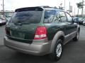 Ivy Green Metallic - Sorento EX Photo No. 11