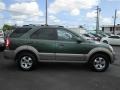 Ivy Green Metallic - Sorento EX Photo No. 12