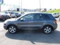 Carbon Gray Pearl - RDX  Photo No. 4