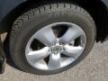 Carbon Gray Pearl - RDX  Photo No. 9