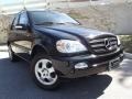 Black - ML 350 4Matic Photo No. 1