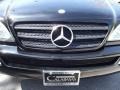 Black - ML 350 4Matic Photo No. 10
