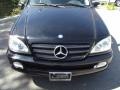 Black - ML 350 4Matic Photo No. 11