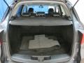 Carbon Gray Pearl - RDX  Photo No. 11