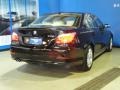 Jet Black - 5 Series 528xi Sedan Photo No. 8