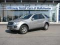 Pewter Metallic - ML 350 4Matic Photo No. 1