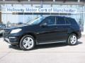 Black - ML 350 4Matic Photo No. 1