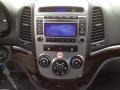 Gray Controls Photo for 2010 Hyundai Santa Fe #62632972