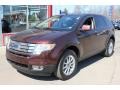 Cinnamon Metallic 2009 Ford Edge SEL AWD