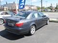 2009 Platinum Grey Metallic BMW 5 Series 528i Sedan  photo #8