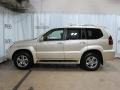 Savannah Beige Metallic - GX 470 Photo No. 4