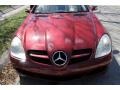 Storm Red Metallic - SLK 280 Roadster Photo No. 15