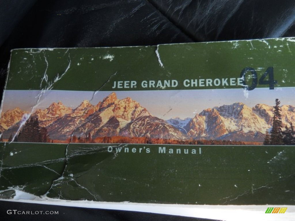 2004 Grand Cherokee Limited 4x4 - Graphite Metallic / Dark Slate Gray photo #19