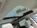 Platinum Ice Tricoat - SRX V6 Photo No. 22