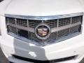 Platinum Ice Tricoat - SRX V6 Photo No. 31