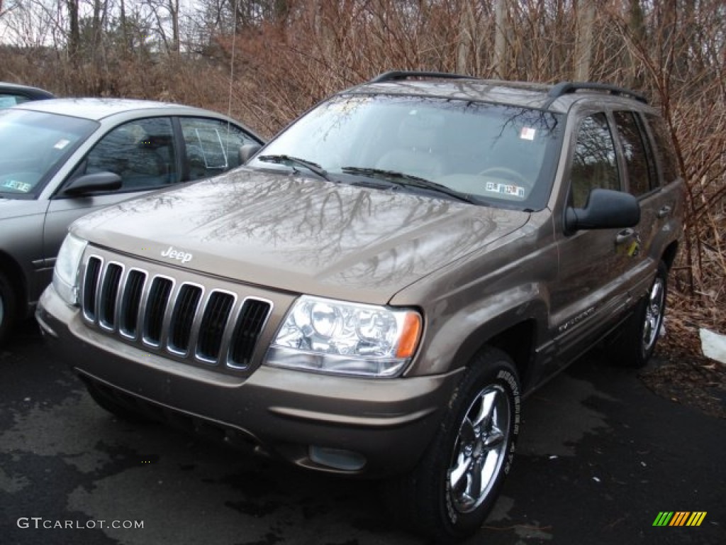 2002 Grand Cherokee Limited 4x4 - Woodland Brown Satin Glow / Taupe photo #1
