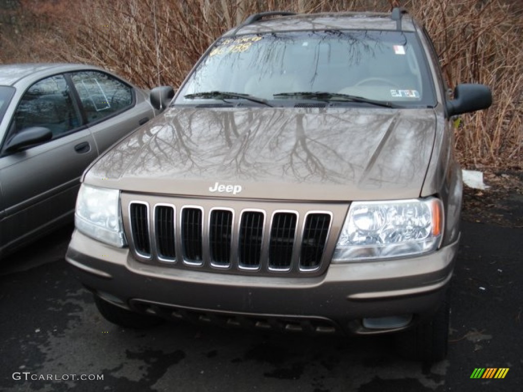 2002 Grand Cherokee Limited 4x4 - Woodland Brown Satin Glow / Taupe photo #2