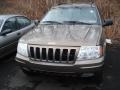 Woodland Brown Satin Glow - Grand Cherokee Limited 4x4 Photo No. 2