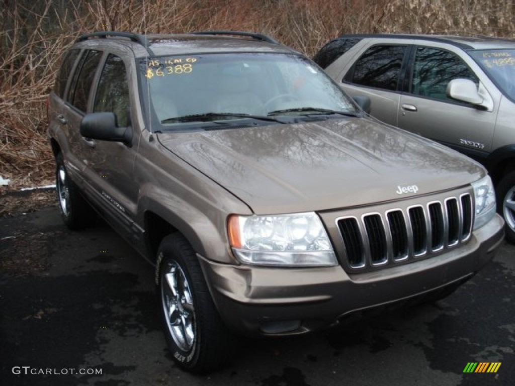 2002 Grand Cherokee Limited 4x4 - Woodland Brown Satin Glow / Taupe photo #3