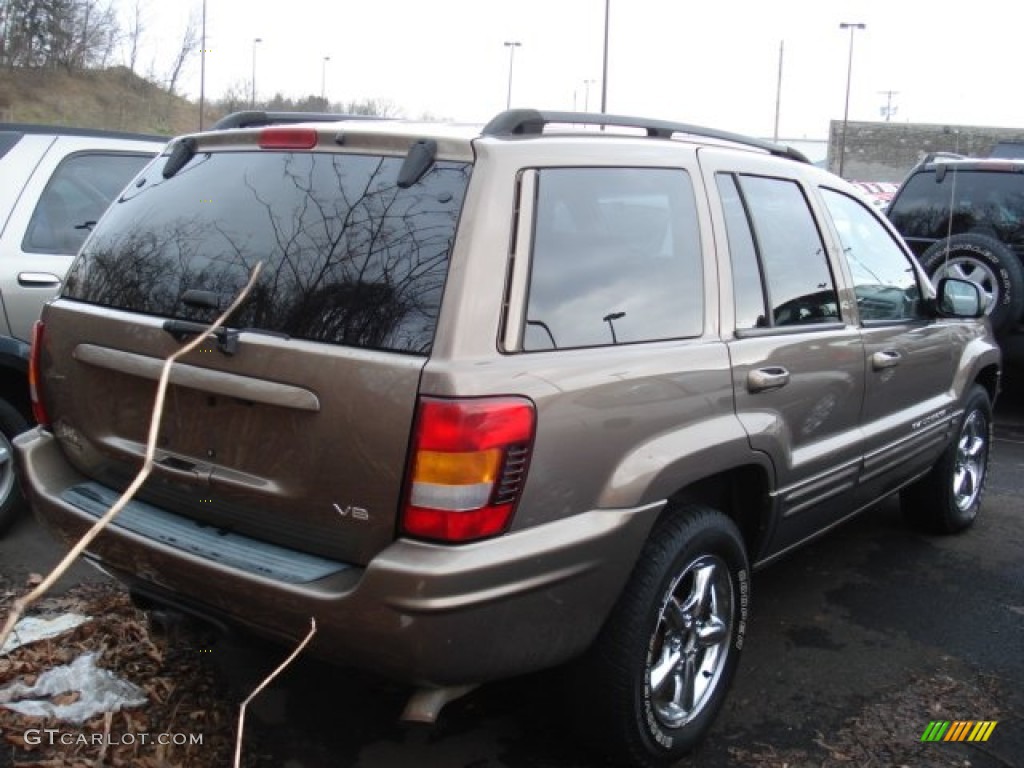 2002 Grand Cherokee Limited 4x4 - Woodland Brown Satin Glow / Taupe photo #4