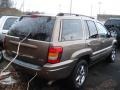 Woodland Brown Satin Glow - Grand Cherokee Limited 4x4 Photo No. 4