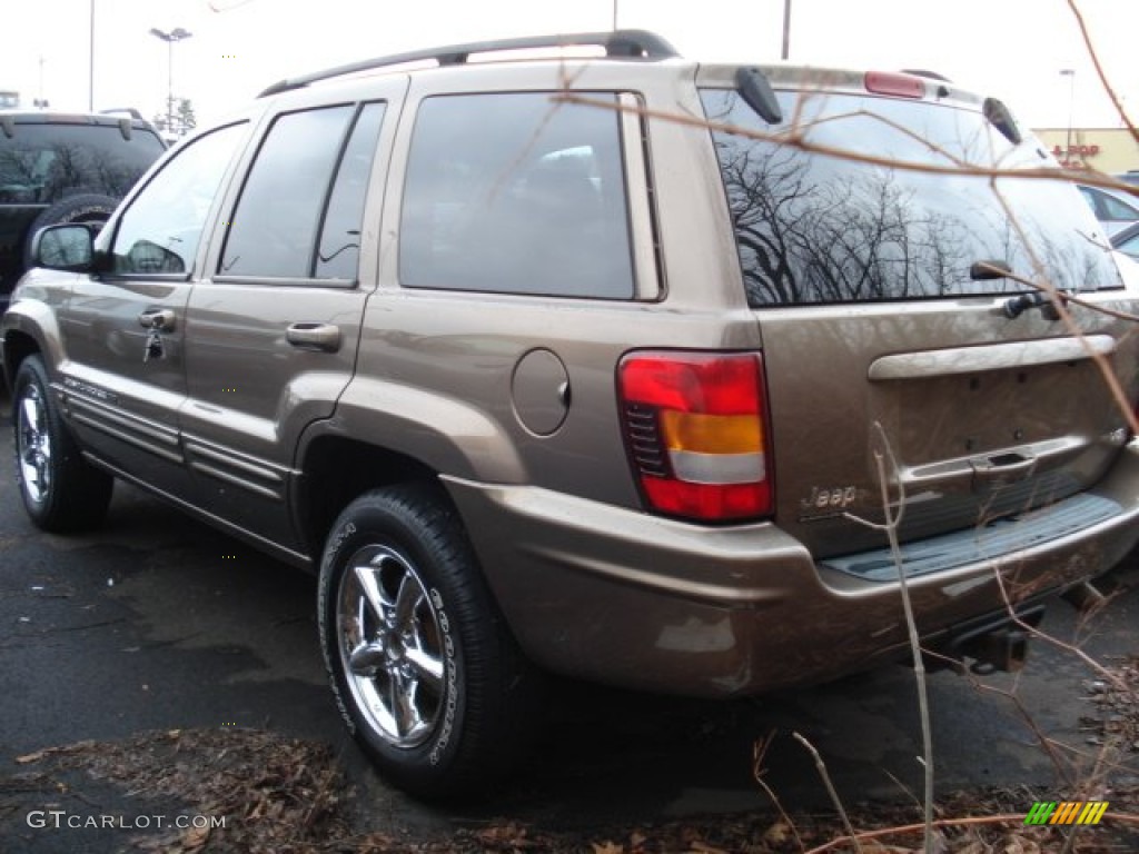 2002 Grand Cherokee Limited 4x4 - Woodland Brown Satin Glow / Taupe photo #6