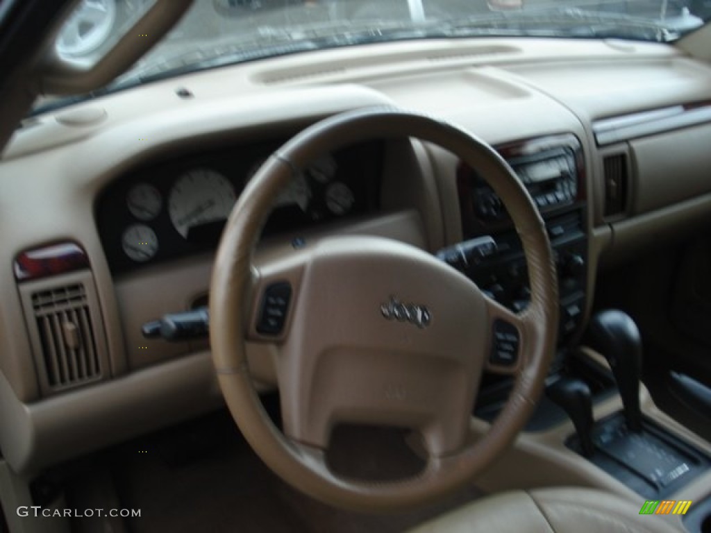 2002 Grand Cherokee Limited 4x4 - Woodland Brown Satin Glow / Taupe photo #8