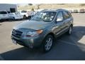 2008 Natural Khaki Green Hyundai Santa Fe SE 4WD  photo #4