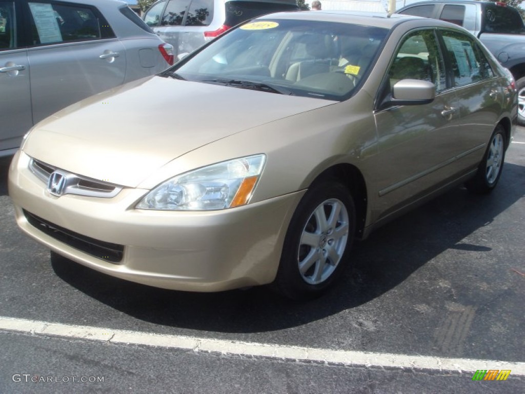 2005 Accord EX-L V6 Sedan - Desert Mist Metallic / Ivory photo #3