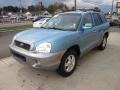 2004 Arctic Blue Hyundai Santa Fe LX 4WD  photo #3