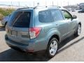 2009 Sage Green Metallic Subaru Forester 2.5 X L.L.Bean Edition  photo #6