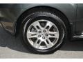 Nimbus Gray Metallic - MDX Technology Photo No. 8