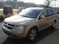 Light Sandstone Metallic - Journey SXT AWD Photo No. 4
