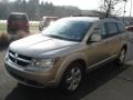 2009 Light Sandstone Metallic Dodge Journey SXT AWD  photo #4