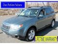 2009 Sage Green Metallic Subaru Forester 2.5 X Premium  photo #1