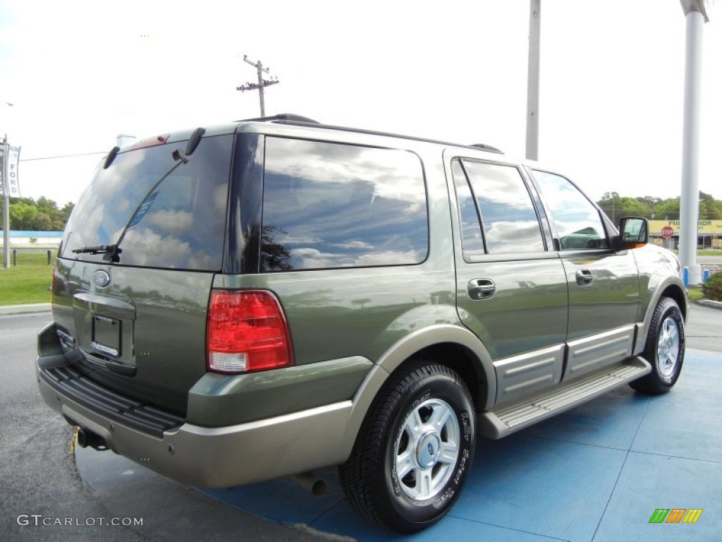 2004 Expedition Eddie Bauer - Estate Green Metallic / Medium Parchment photo #5