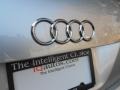 Ice Silver Metallic - Q7 3.6 Premium quattro Photo No. 31