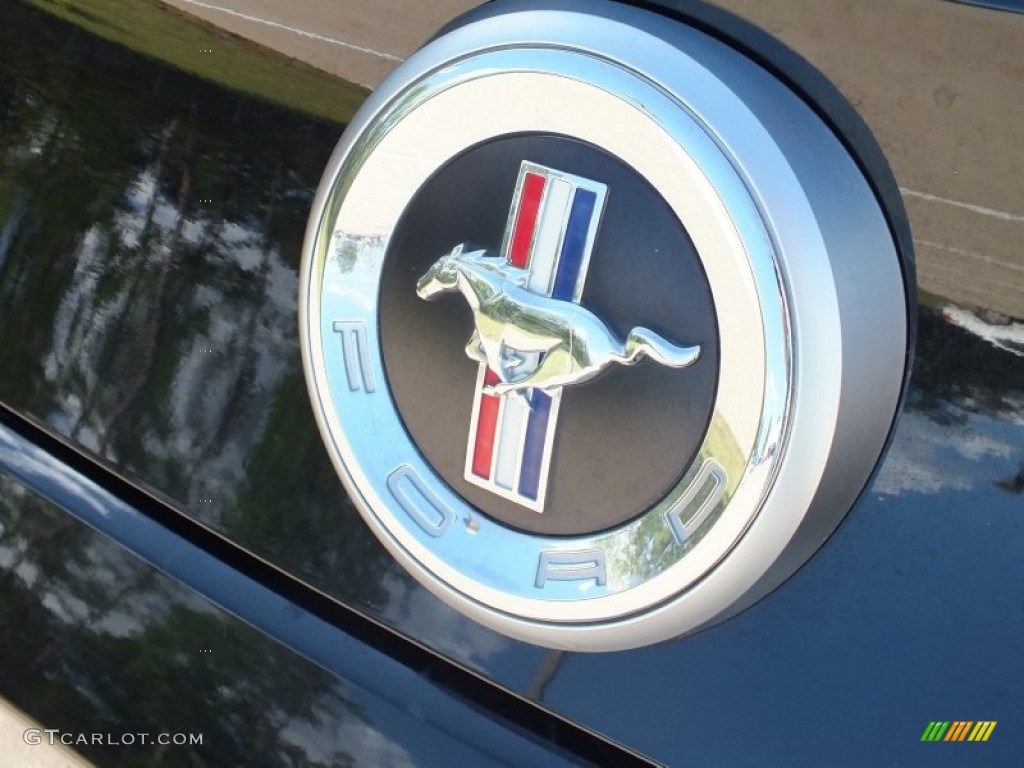 2011 Mustang V6 Premium Coupe - Ebony Black / Stone photo #12