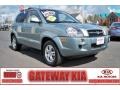 Alpine Frost 2006 Hyundai Tucson Limited 4x4