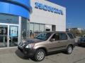 2005 Sahara Sand Metallic Honda CR-V EX 4WD  photo #1