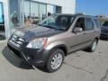 2005 Sahara Sand Metallic Honda CR-V EX 4WD  photo #2