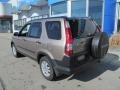 2005 Sahara Sand Metallic Honda CR-V EX 4WD  photo #6
